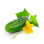 Edge cuban chain bracelet